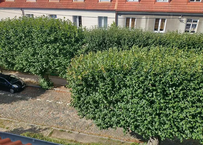 アパート Stara Oliwa グダニスク